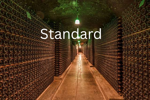⚜ Standard (Most popular)