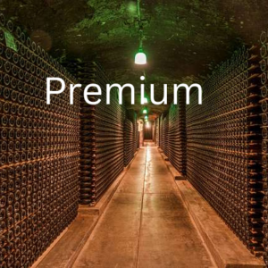 ⚜ Premium