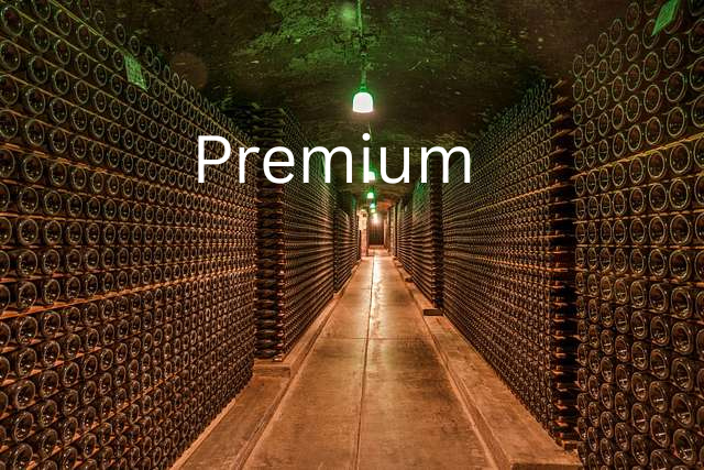 ⚜ Premium