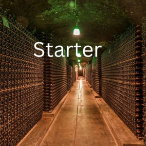 ⚜ Starter